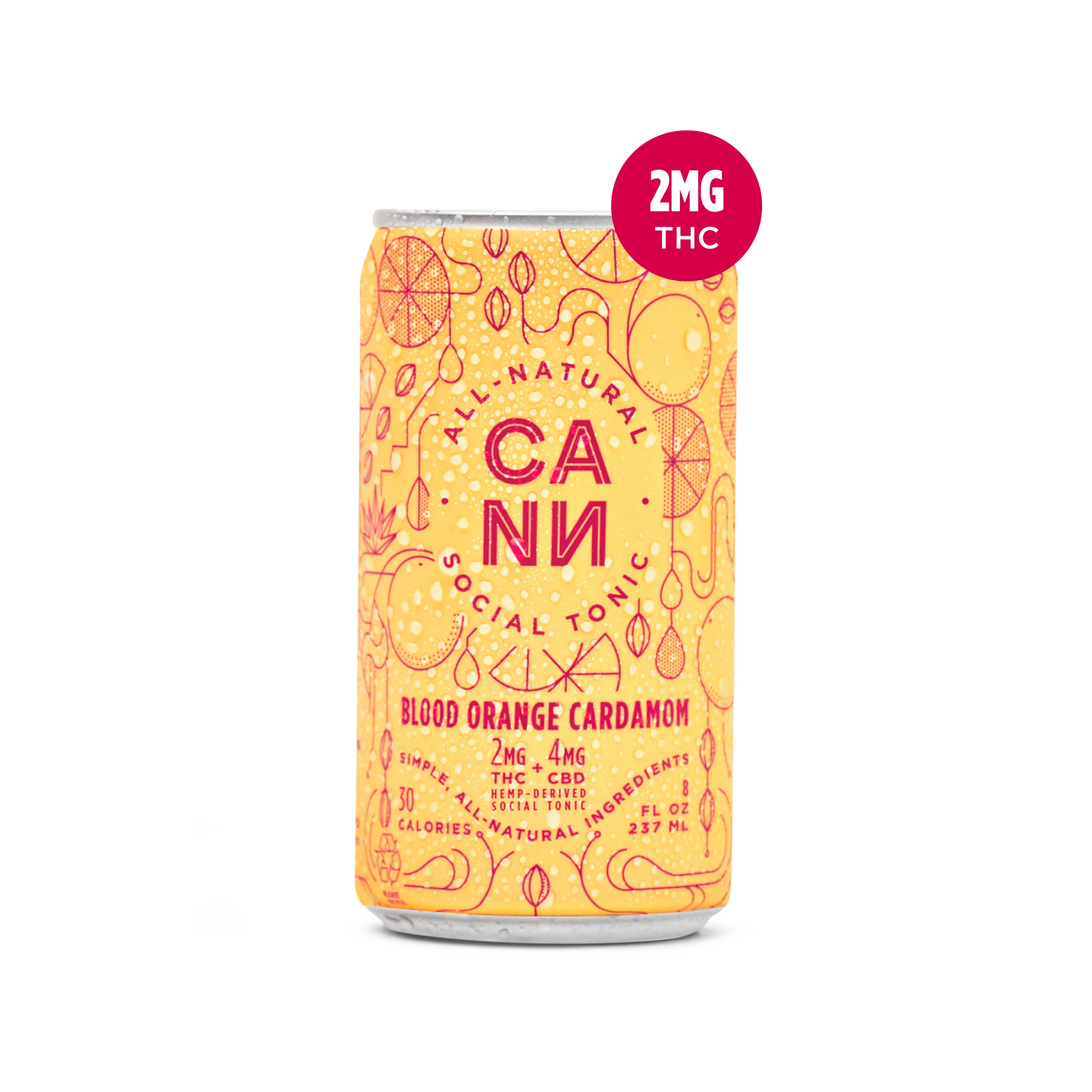 Cann 6-Pack