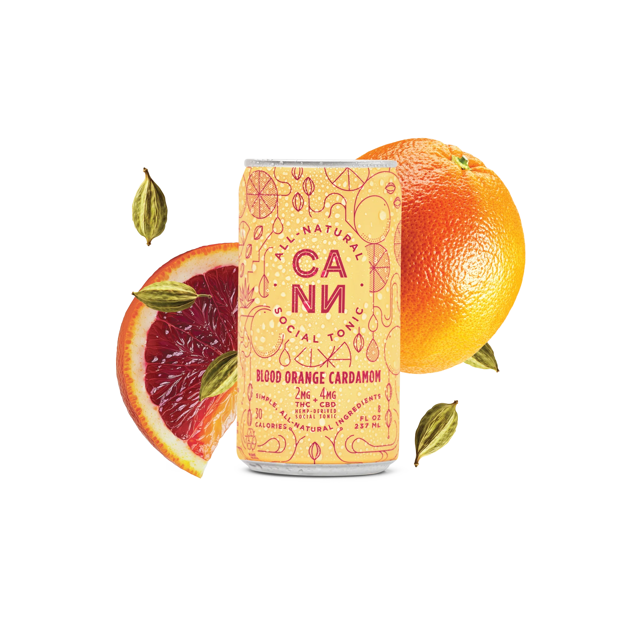 Cann - Image 11