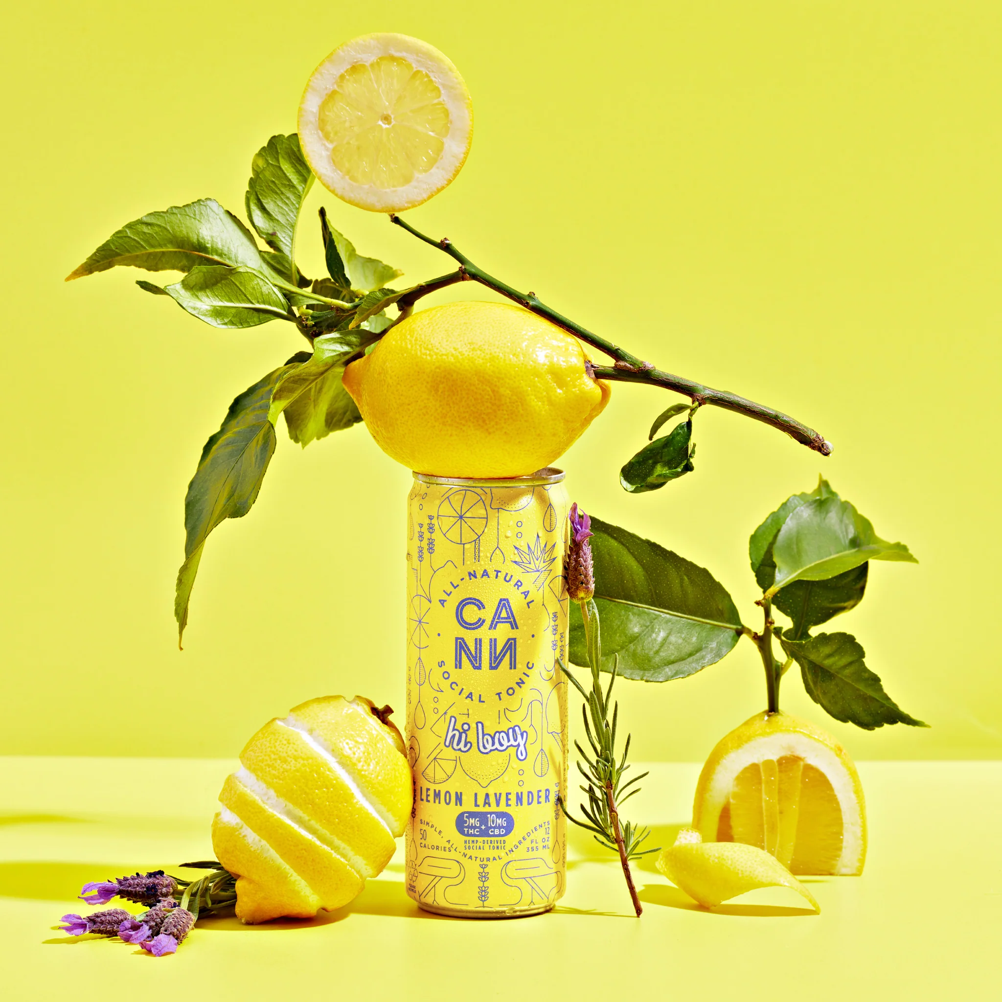 Hi Boy - Image 13