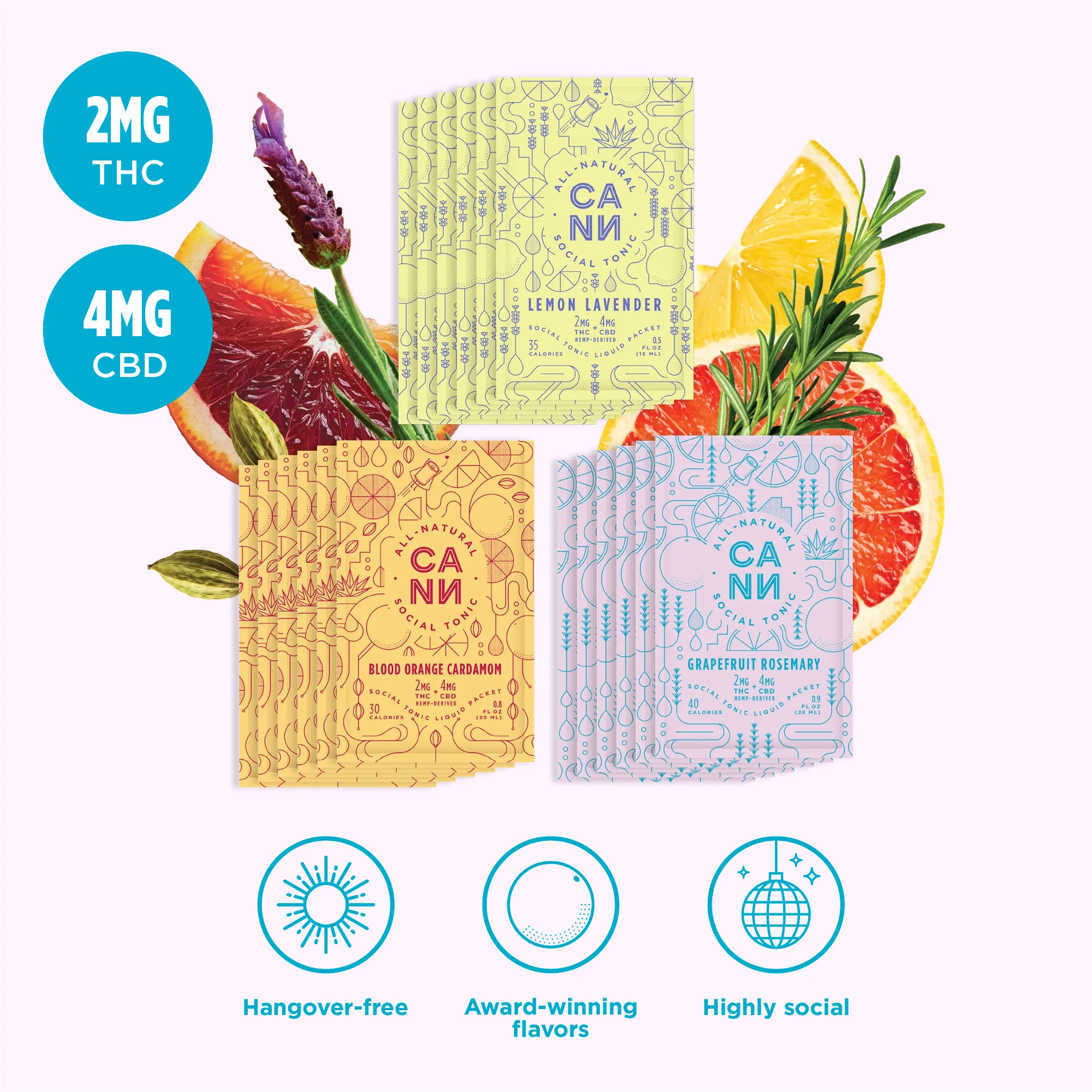 The Starter Pack - Image 5